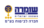 שומרה נהג מזדמן